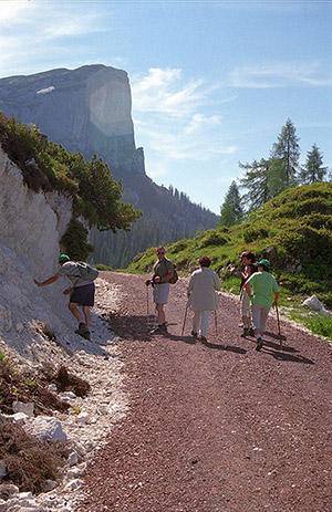 Wandern auf der Steinplatte in Waidring / Tirol